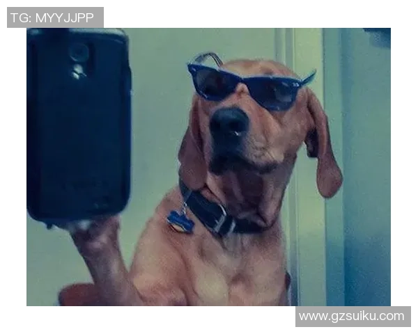 足球明星与爱犬情缘揭秘你知道哪个球星最爱狗狗吗